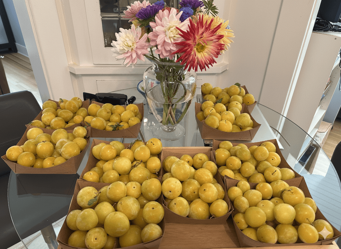 Image of Fruit and Flowers